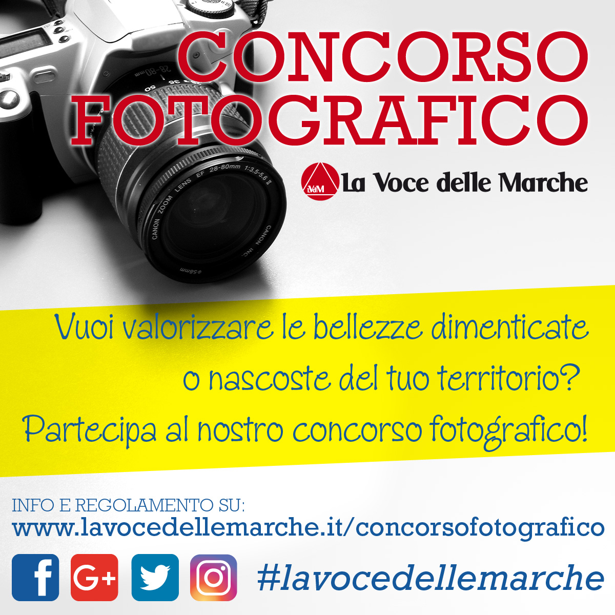 banner-concorso